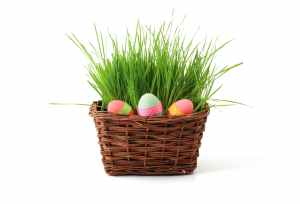 basket-celebration-decoration-easter-41346.jpeg